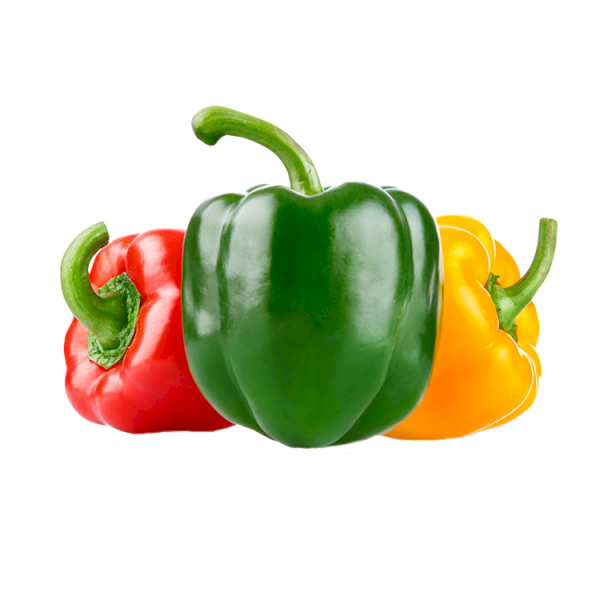 Fresh Vegetables