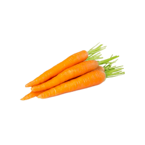 Havuç