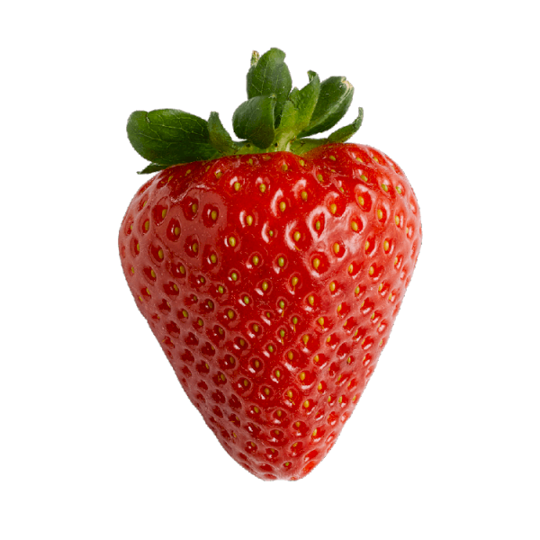 Çilek